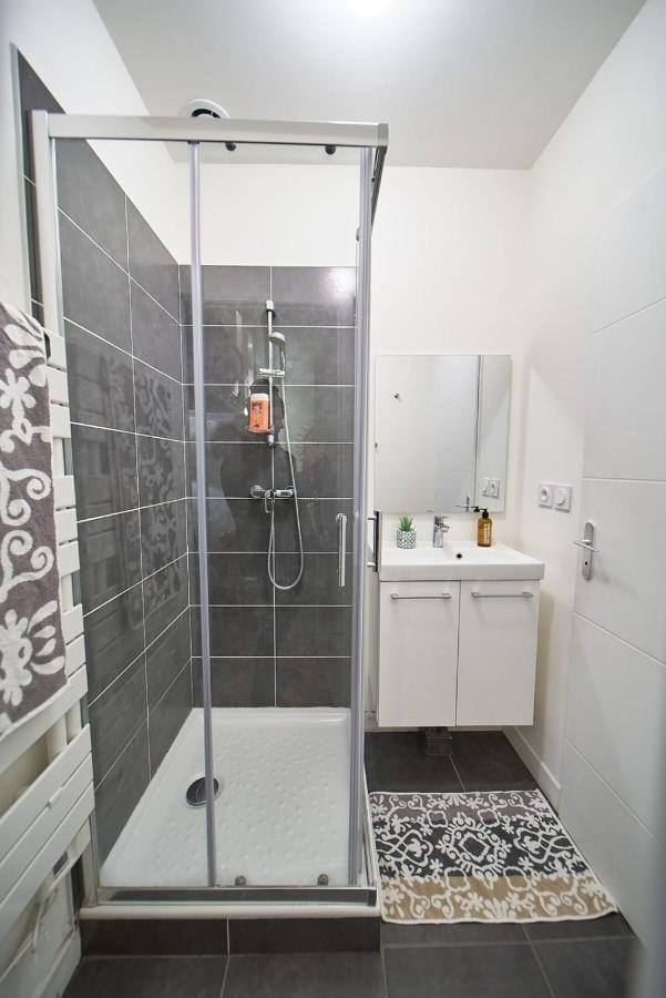 Studio Cosy Valmy- Vaise- Center Of Lyon Zewnętrze zdjęcie